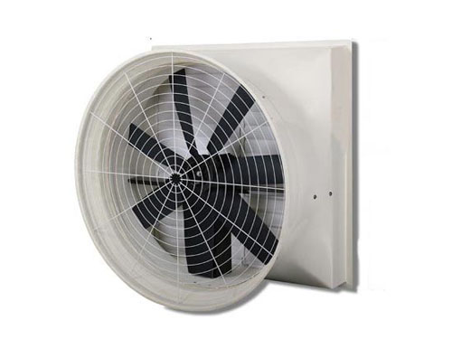 �����ؓ���L�C